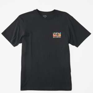 CAMISETA SEGMENT SS 2737 BILLABONG