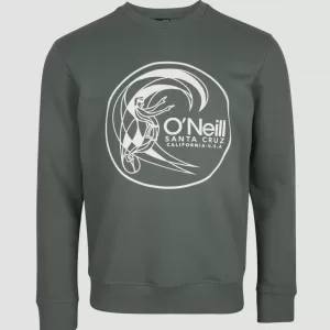 SUDADERA CIRCLE SURFER O'NEILL BALSAM GREEN