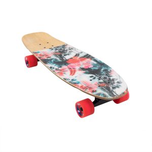 CRUISER FIJI 29'' X 8,5'' MILLER